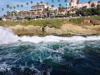 Playful shot of seagulls in San Diego using my drone.