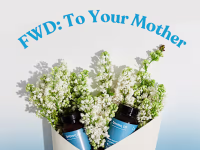 Bioniq — Evgenia Studios