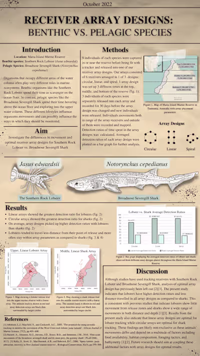 Receiver Array Design Scientific Poster 