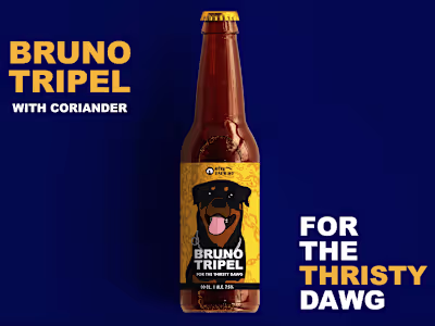 Nova Brewing - Brand Design