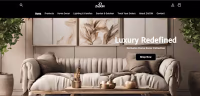 Shopify E-commerce Success Story