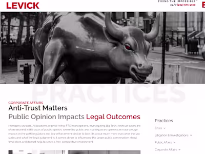 LEVICK | Web copy