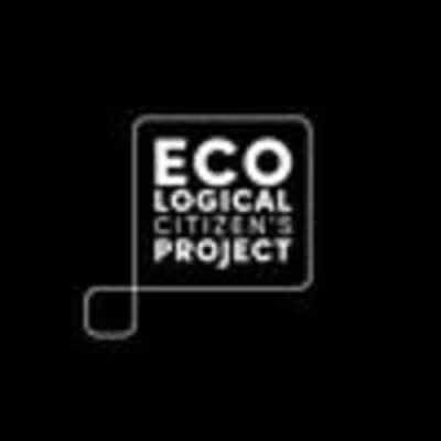 Instagram creation and management 