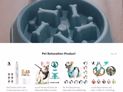 Shopify Dropshipping Store Design