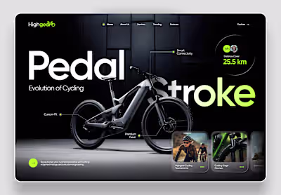 Website Design Collection '24