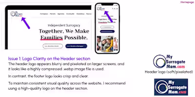 50-Page Report of MySurrogateMom (Order #502)