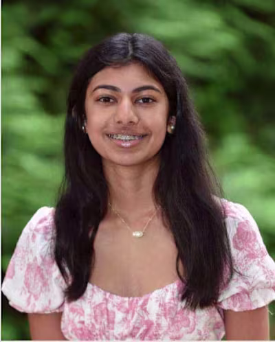 SEEMA Article Contributions