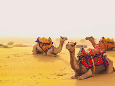 Taxi service in Jaisalmer