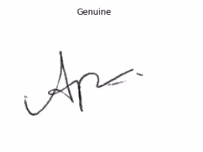 Signature Verification