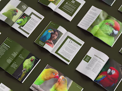 Magazine Redesign