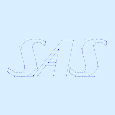 Design for Scandinavian Airlines