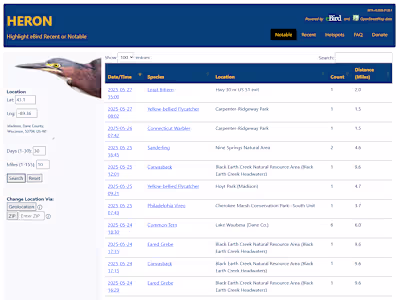 Python / Django Web Application 