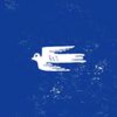 adventures.roadtrips • Instagram photos and videos