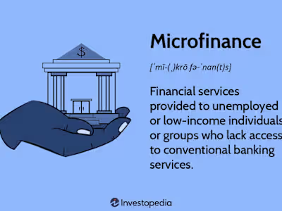 Microfinance Project 