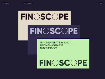 Visual Identity and Website. Fintech