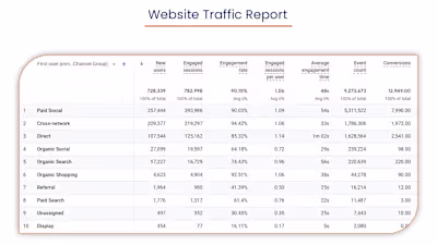 Ads Campaign Manager for Ecommerce Client