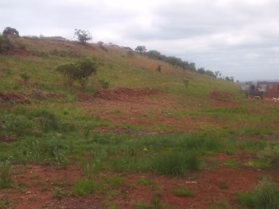 Construction and architecture 