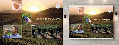 Viña Ventisquero