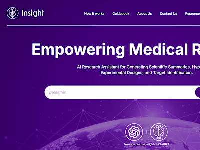 Insight: AI Developer