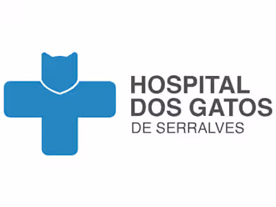 Hospital dos Gatos de Serralves - Porto