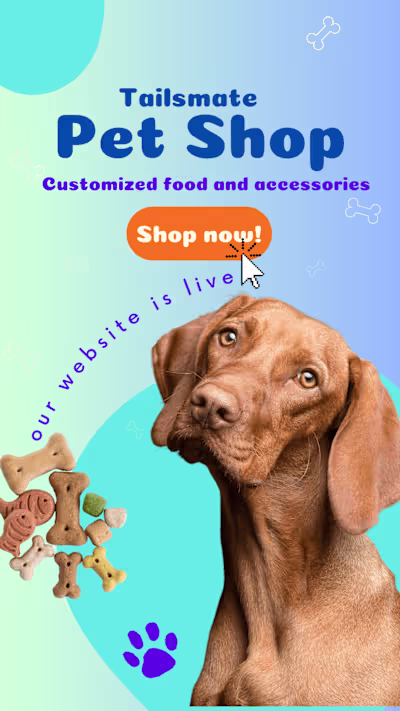 Tailsmate Instagram story