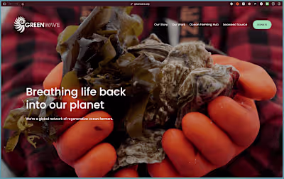 Brand & Website redesign for mission driven climate nonprofit