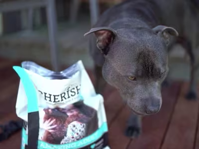 Cherish Pet Food Available At PetStock - YouTube