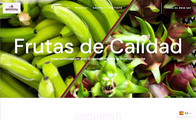 Miguicho Web