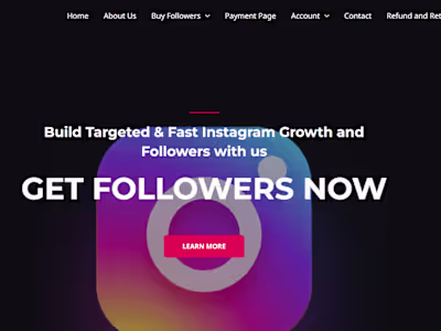 Instagram website for client.