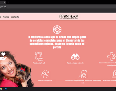 Portfolio, web and graphic design.