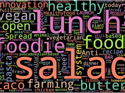 Topic Modelling based on vegan Twitter data
