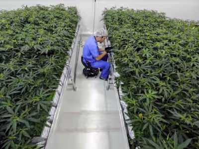 New Changes Improve the Lives of Louisiana's Medical MJ patients