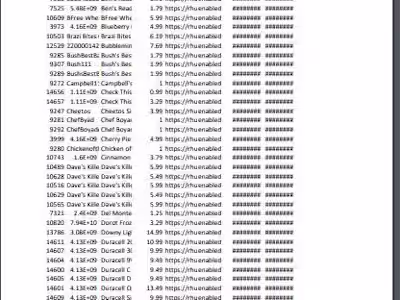 Rhunner Store Data Entry