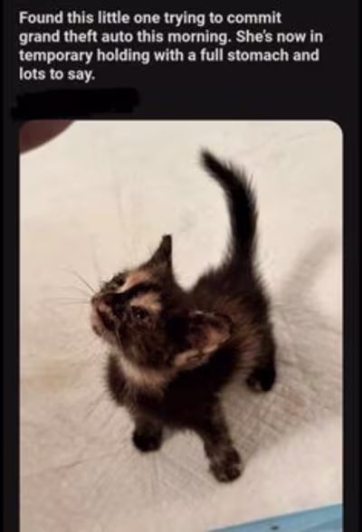 Social media marketing management.