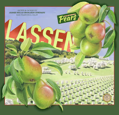 Ad Typography 
