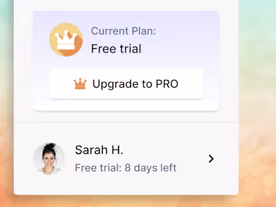 "Upgrade to Pro" element on sidebar.