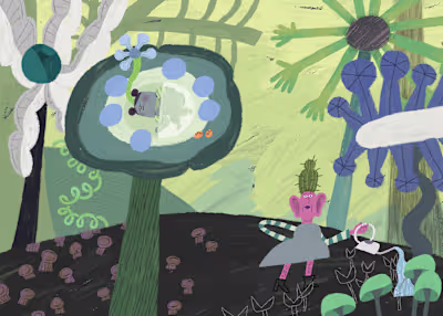 Illustration proyects