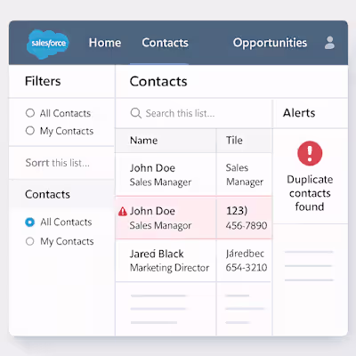 CRM Optimization for Consulting Firm