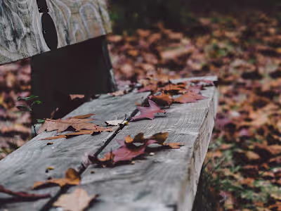 Memoir Ghostwriter: The Christmas Bench Miracle