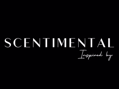 WhatsApp Marketing Campaign