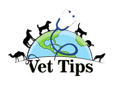 Vet Tips - Home of Veterinary and Pets Tips