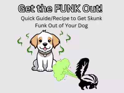 Get the FUNK Out! Quick Guide/Recipe for a Skunk Sprayed Do