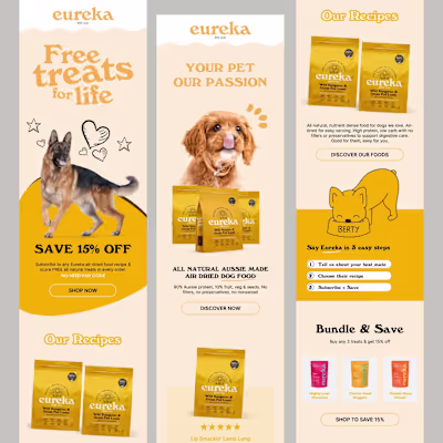 Email Design for Diverse Business Campaigns