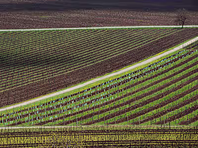 Photo Series: "Living Nature"