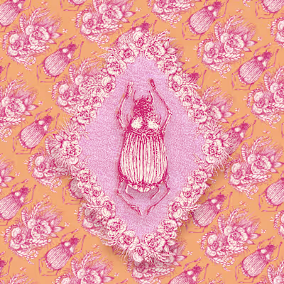 Insect Kingdoms 