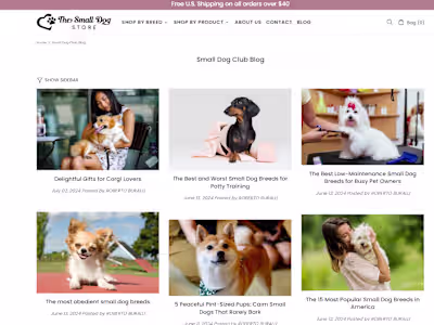 SEO Content Writer