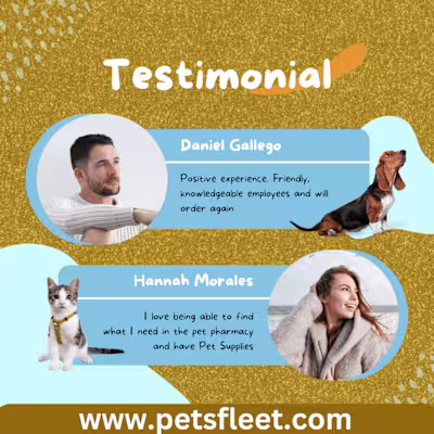 infographics design