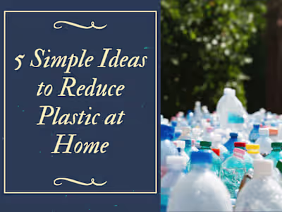 SEO Blog Writing: 5 Simple Ideas to Reduce Plastic at Home