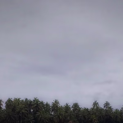 Just taking Pictures of Nature's Beauty