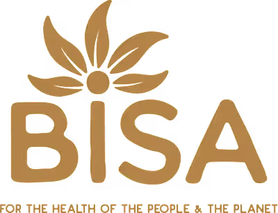Bisa Brand Identity 